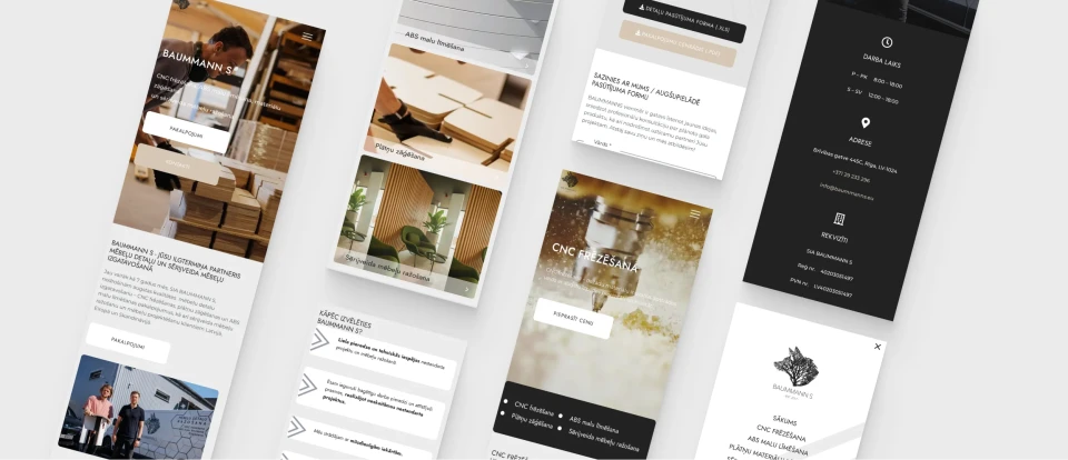Website BS