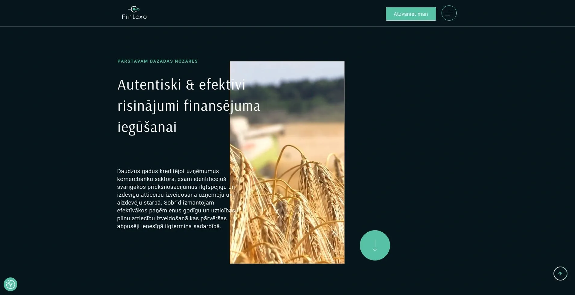 Website F