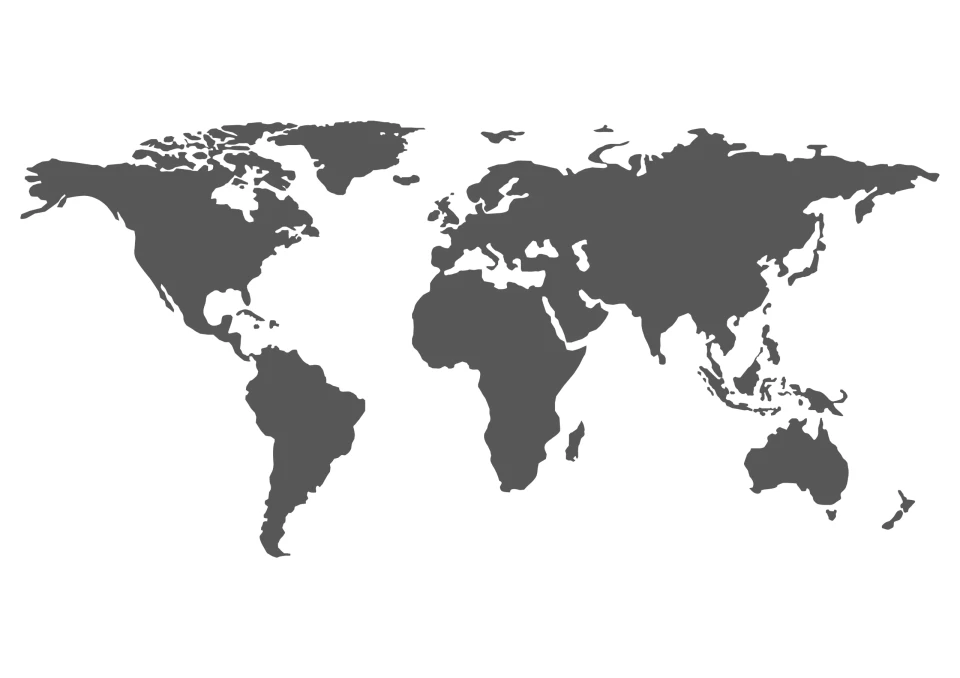 Website T